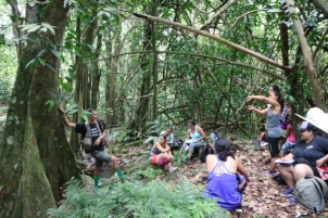 Jean-Yves sharing his incredible knowledge about Moorea's forests