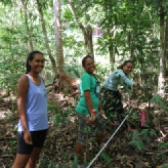 Undergraduate students from Mayalen Zubia's ecology class at the University of French Polynesia establishing new subplots at the demonstration plot at Gump Station. A test of teamwork, logic and field skills which the students found challenging but ultimately rewarding. 