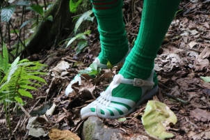 They are about as sexy as my field hat, but Jean-Yves' socks and jelly sandals are great for fending off the mozzies and preventing the spread of invasive seeds which get stuck on conventional hiking boots.